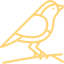 bird icon