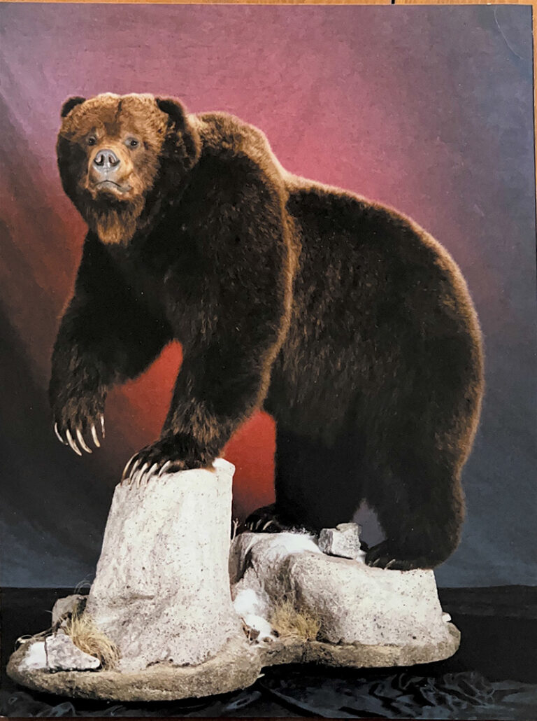 Bear posed on rocky stand.