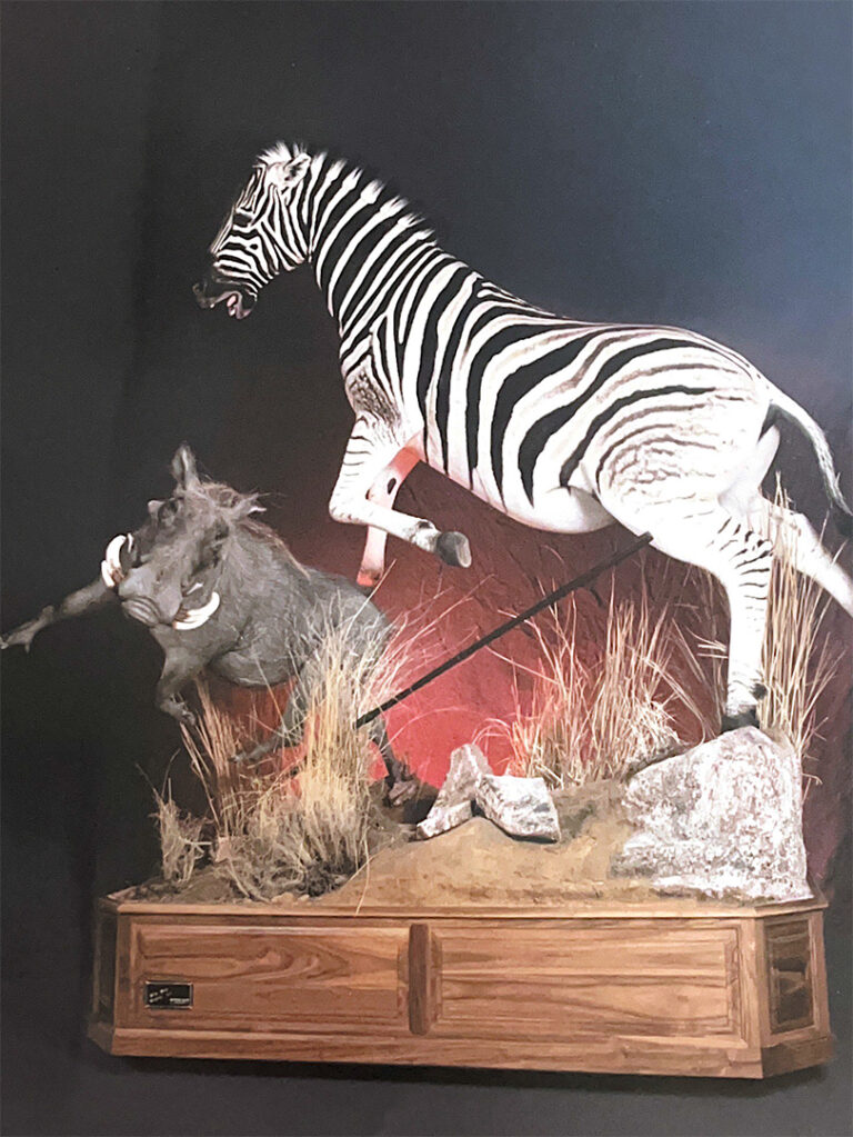 Scene of a Zebra posted jumping with a warthog on a wooden plinth