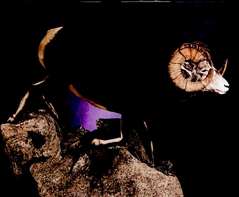 Big Horn Sheep mounted on rocky scene.