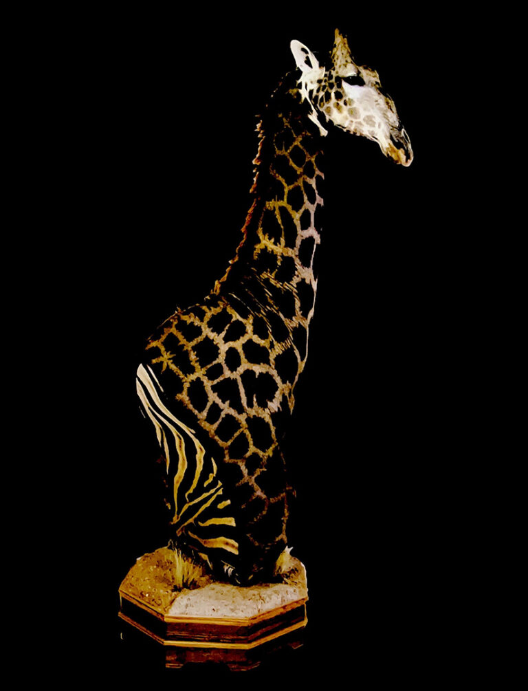 Bust of a giraffe on a small plinth.